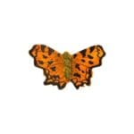 Magnet Butterfly Comma