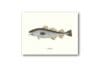 Poster Cod 30x40 cm - Image 3