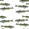Makrill snuttefilt OEKO-TEX - Bild 3