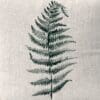 Fern Cushion Cover - Image 2