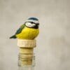 Bottle Stopper Blue Tit - Image 3