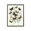 Poster Butterflies Brown 30x40 cm