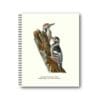 Notebook White-backed Woodpecker 21x26 CM