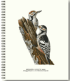 Notebook White-backed Woodpecker 21x26 CM - Image 3