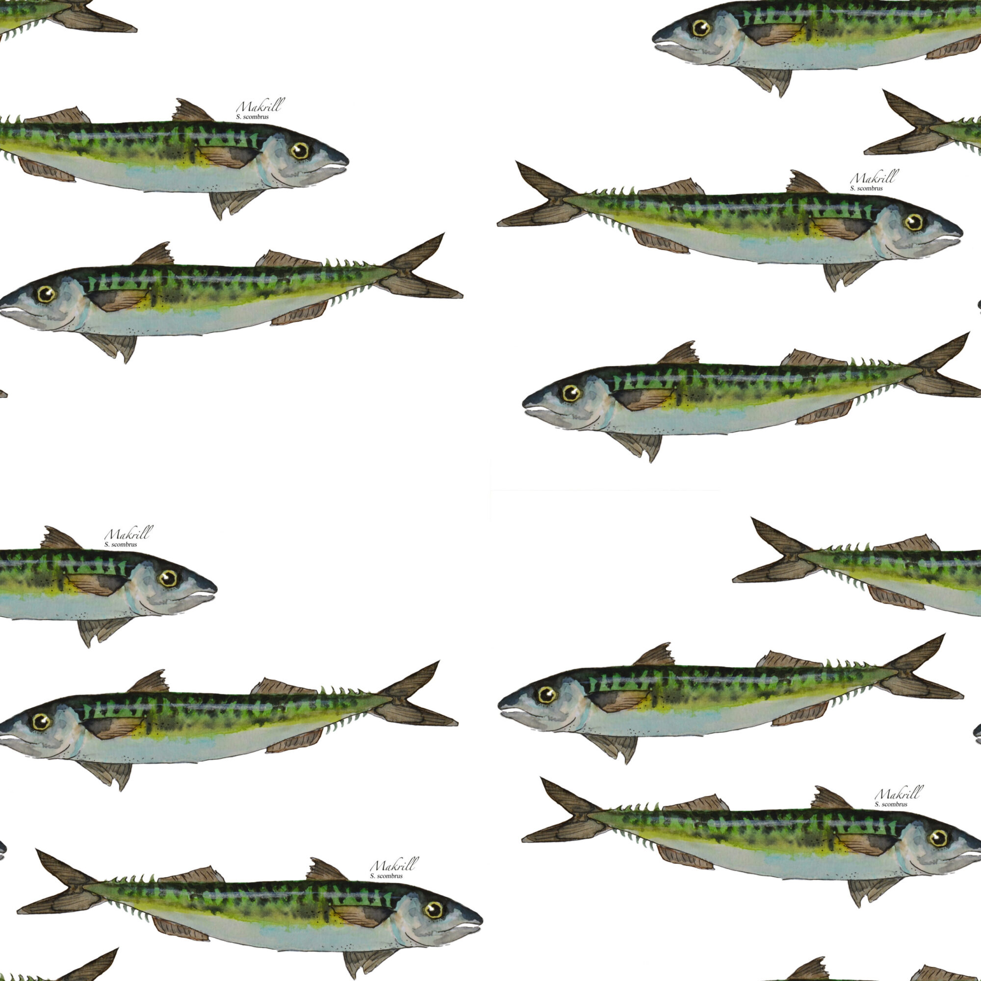 Makrill snuttefilt OEKO-TEX - Bild 3