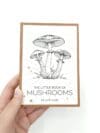 Little Book of Mushrooms - Image 3