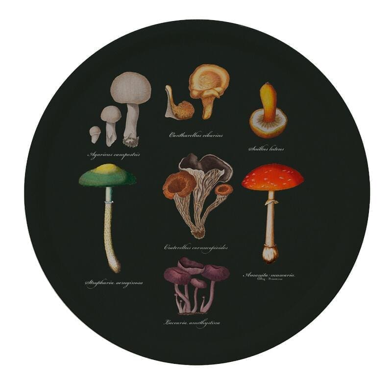 Mushroom Tray Ø38