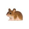 Hand Carved Mouse - Image 3