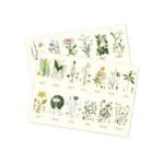 Place Mat Landscape Flowers