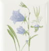 Magnet Bluebell - Image 2