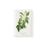 Magnet Common Ivy